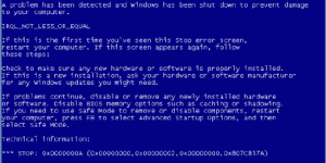 BSOD(Blue Screen Of Death) Questa bestia terribile!