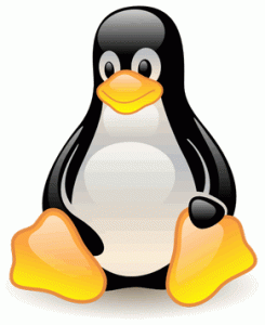 Linux e le Directory (I parte)