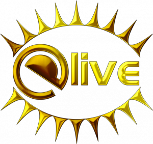 elive linux