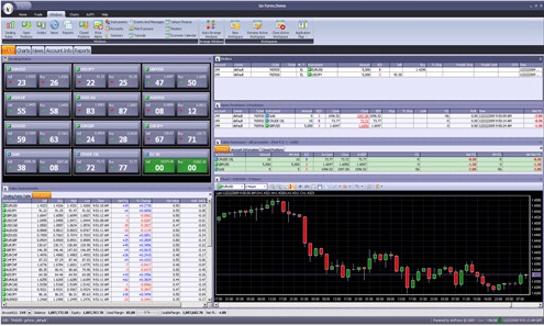 Forex : Recensione GFC Markets - Broker Giovane E Competente