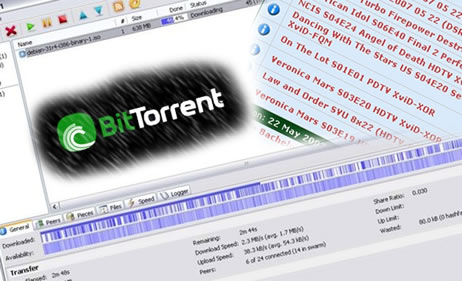 siti torrent down