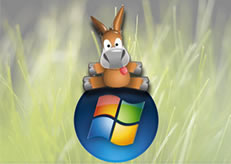 Server Emule Sicuri : Lista Aggiornata A Novembre 2010