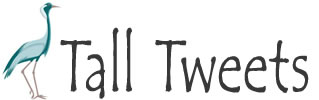 Inviare Tweet Lunghi : Aggirare Limite Twitter Con Tweets Tall