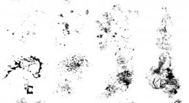 pennelli photoshop brushes