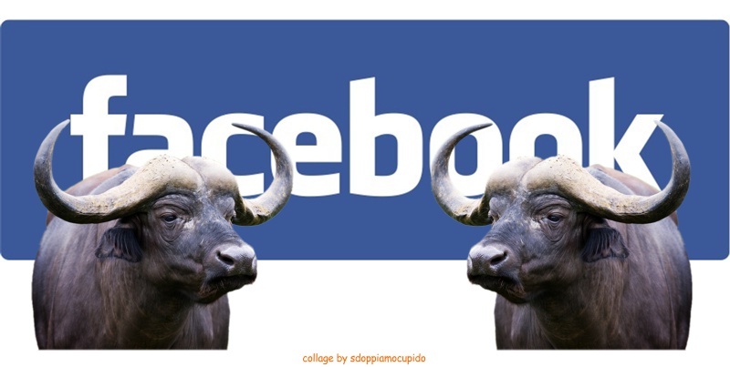 Facebook ed il decalogo contro le bufale