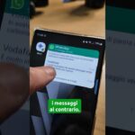 leggere i messaggi WhatsApp