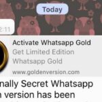 messaggio WhatsApp Gold